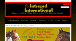 Desktop Screenshot of intrepidintl.com