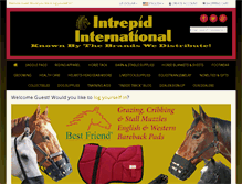 Tablet Screenshot of intrepidintl.com